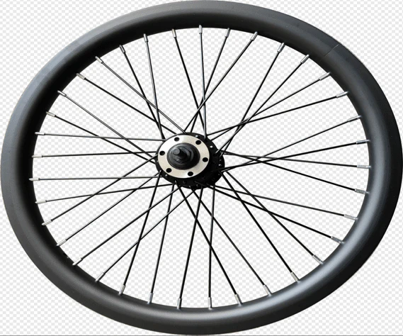 F1 / R1 / Z4 LITE Electric Bike Driven Wheel Assembly